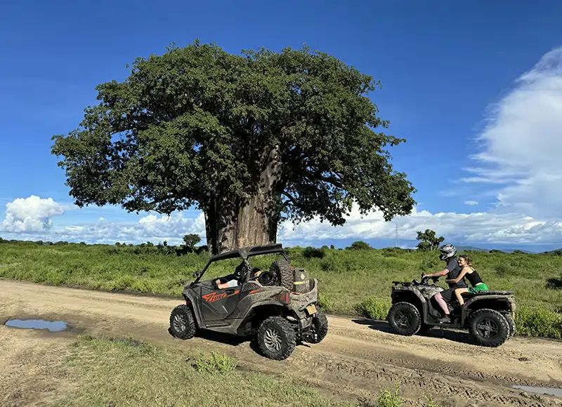 quadbike-baobab